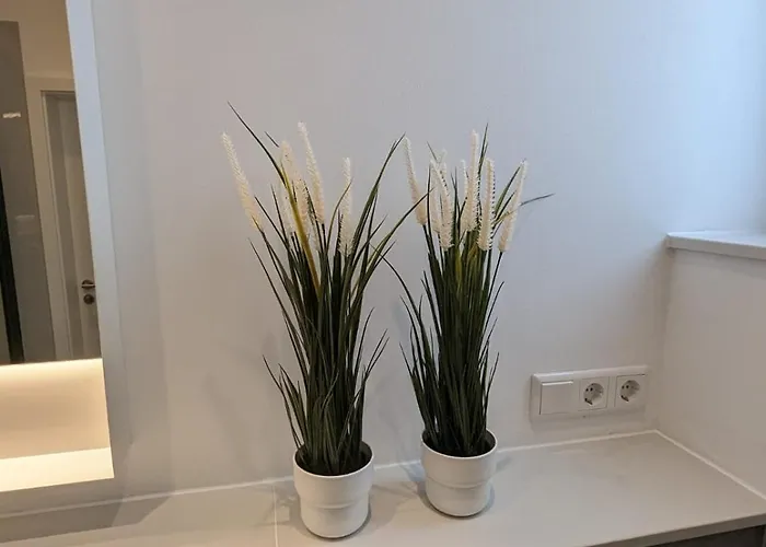 Appartement Feeling *